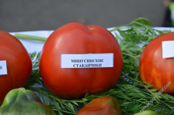 Kamatis ng Minusinsk