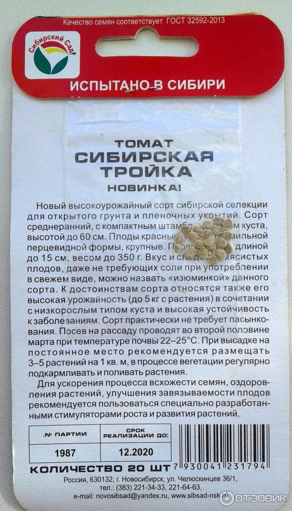 Popis odrody Sibírska trojka