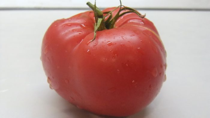 Ang bunga ng kamatis na Siberian Shagngi
