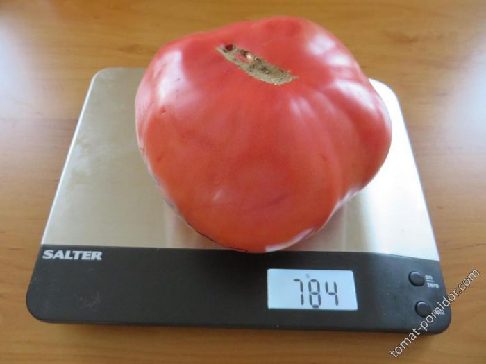 Groot fruit