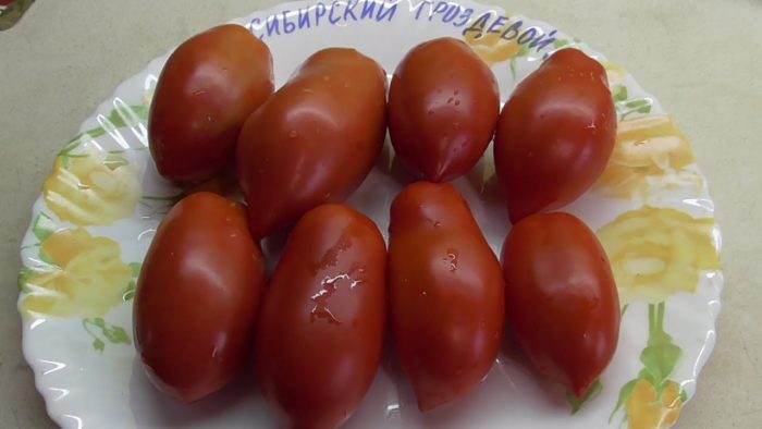 Плодове на сибирски гроздов домат