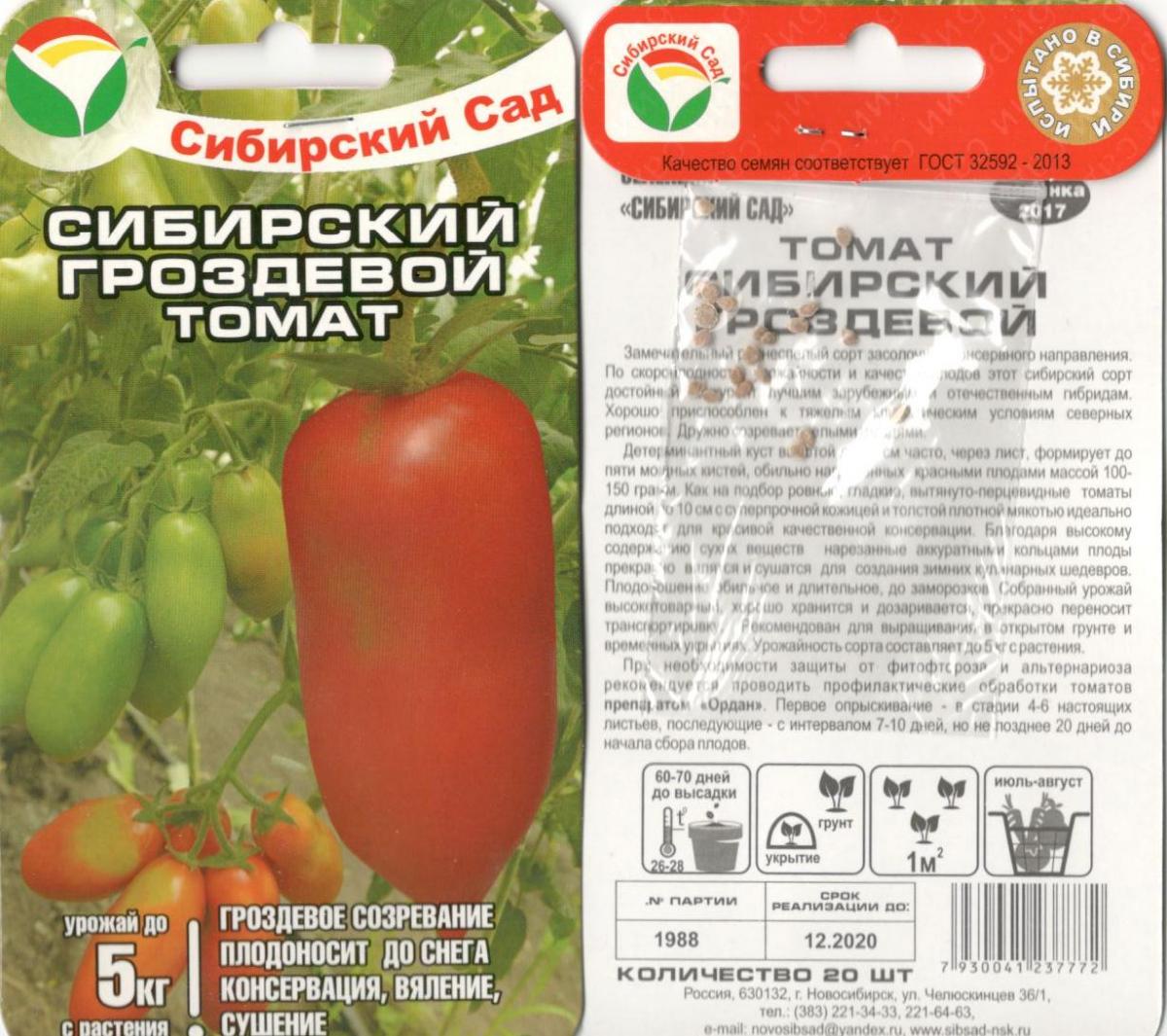 Семена от сорта грозде Сибир