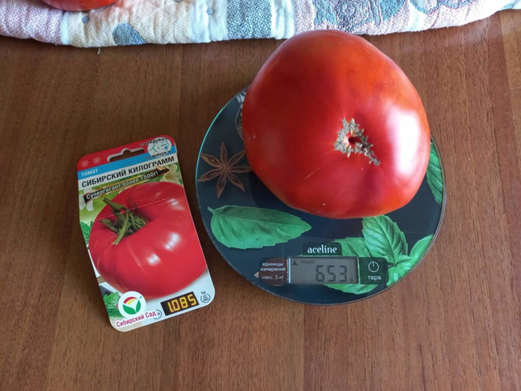 משקל עגבניות