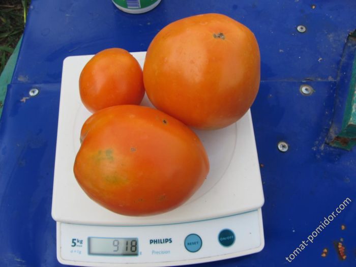 稱量水果