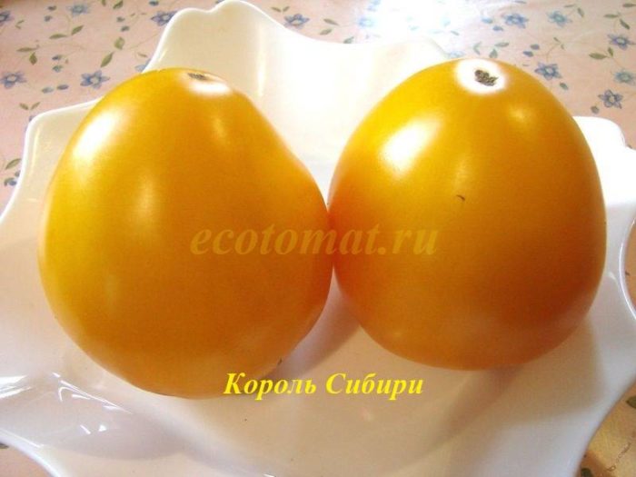 Домати в чиния