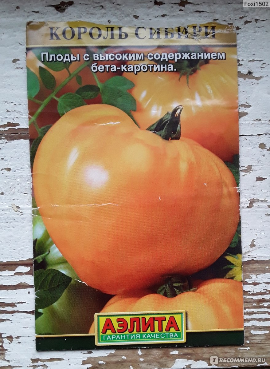 Семена от домати „Кралят на Сибир“