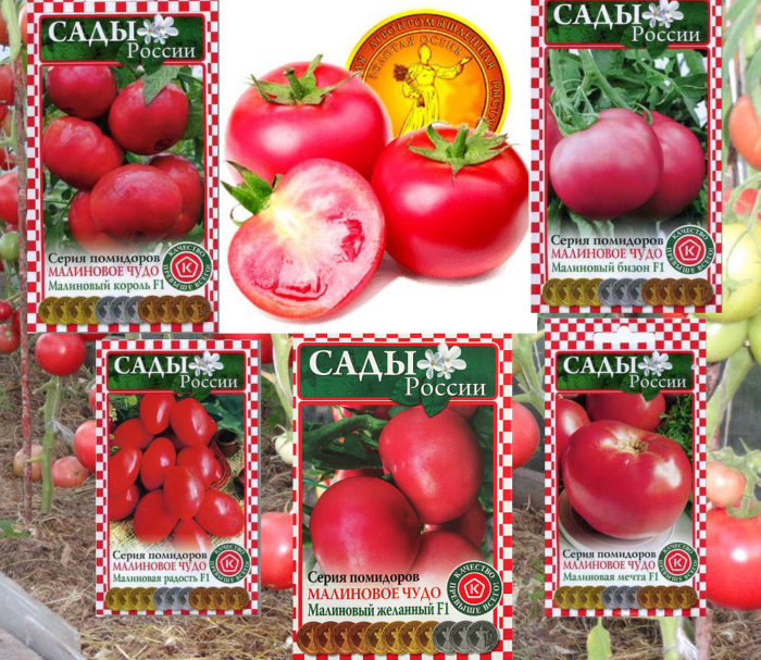 Ang pangalawang serye ng mga kamatis na Raspberry Miracle