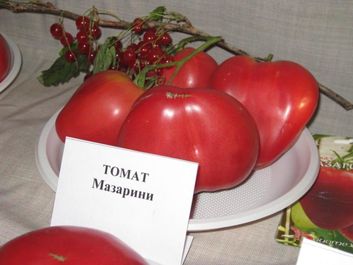 Едри домати от Биотехника