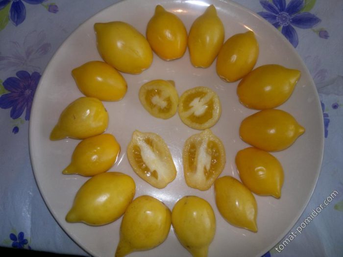 Красиви домати