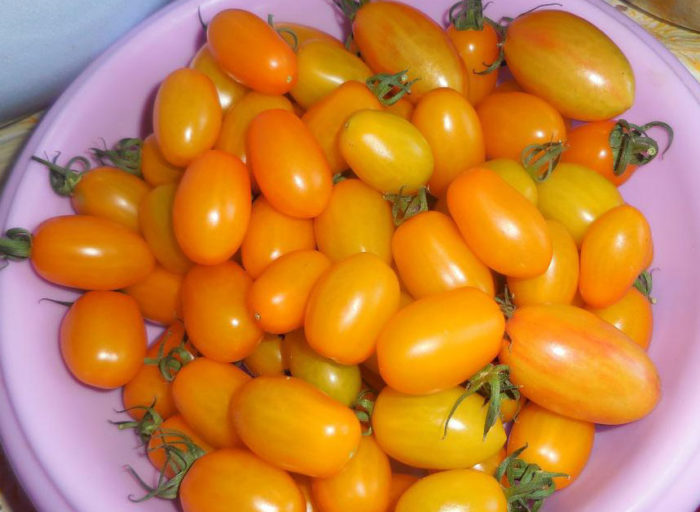 Một món ăn với cà chua màu cam