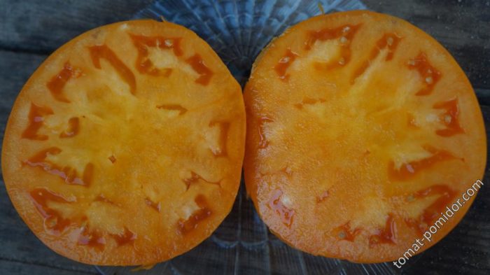 Prierez plodu odrody Honey Giant