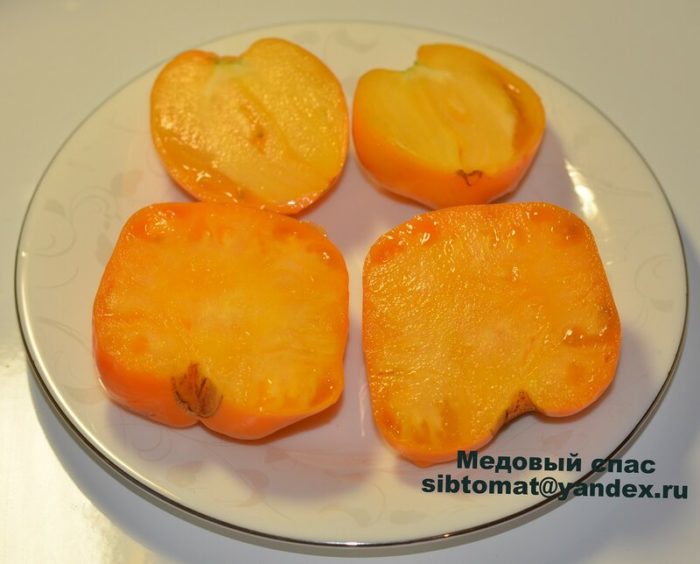 Mặt cắt ngang của quả thuộc giống Honey Spas