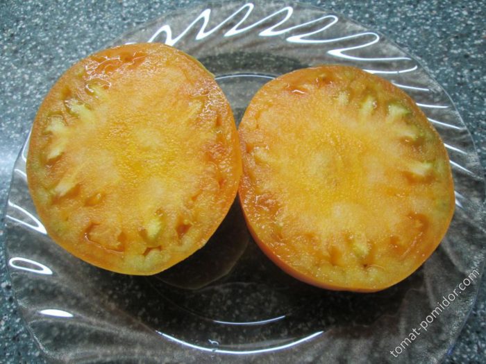 Mặt cắt ngang của cà chua Honey Savior