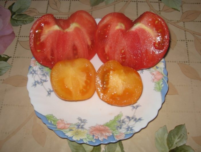 Mga kamatis sa seksyon