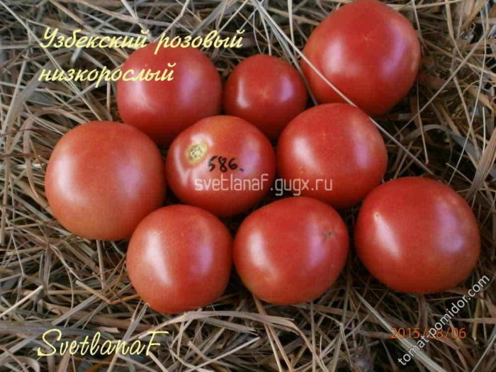 Uri ng kamatis na Yusupovsky