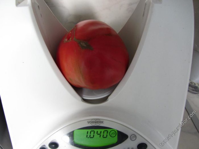 Kamatis na Uzbek sa timbangan