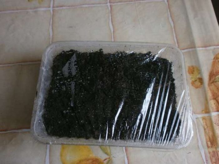 Pagtatapos gamit ang pelikula