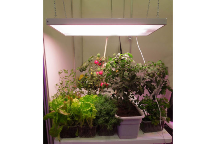 Huisverlichting