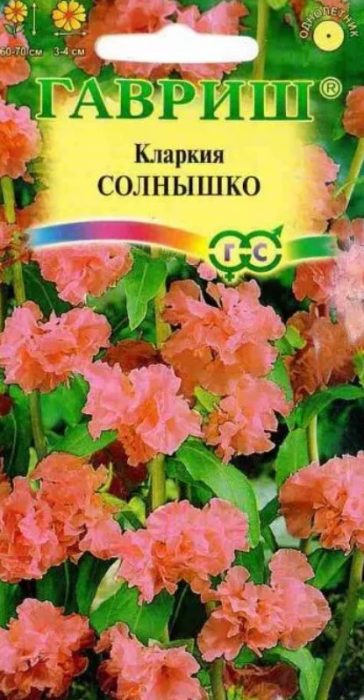 Сорт Солнишко