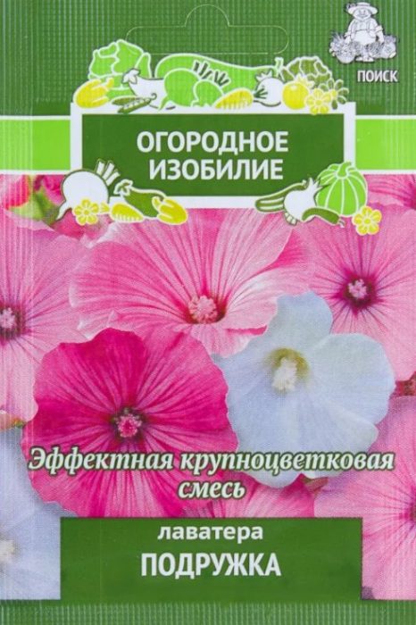 Iba't ibang Lavatera na Podruzhka