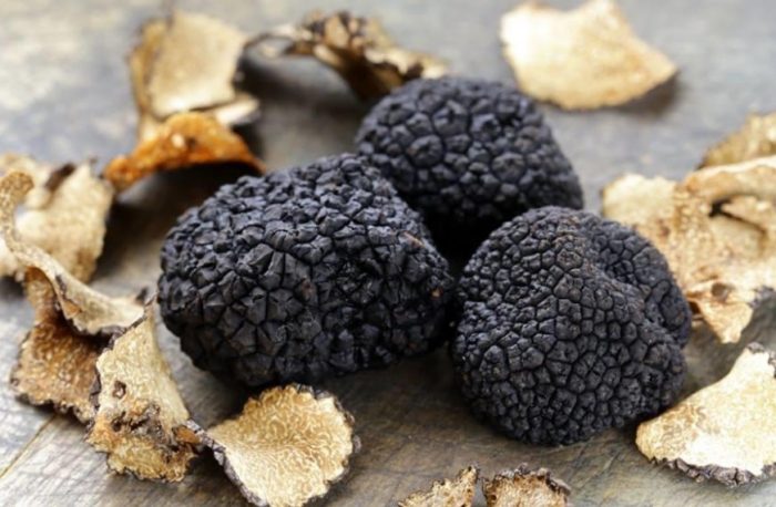 Mga katamtamang laki ng truffle