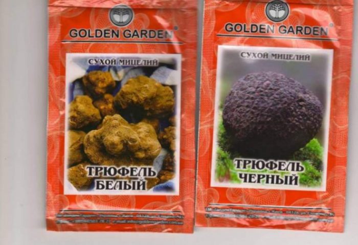 mga bag na may mycelium