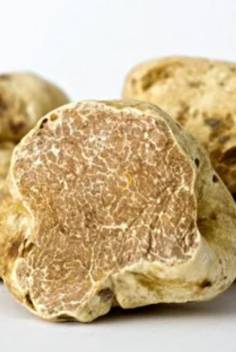 Oker na truffle
