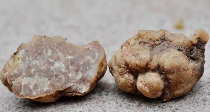 Isawsaw na truffle