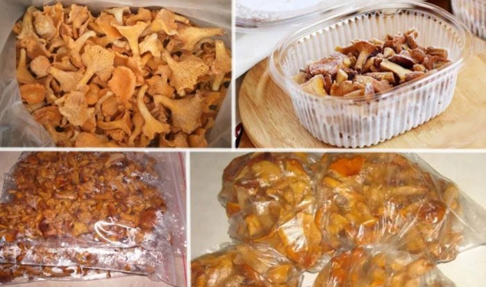 Pag-iimbak ng mga chanterelle
