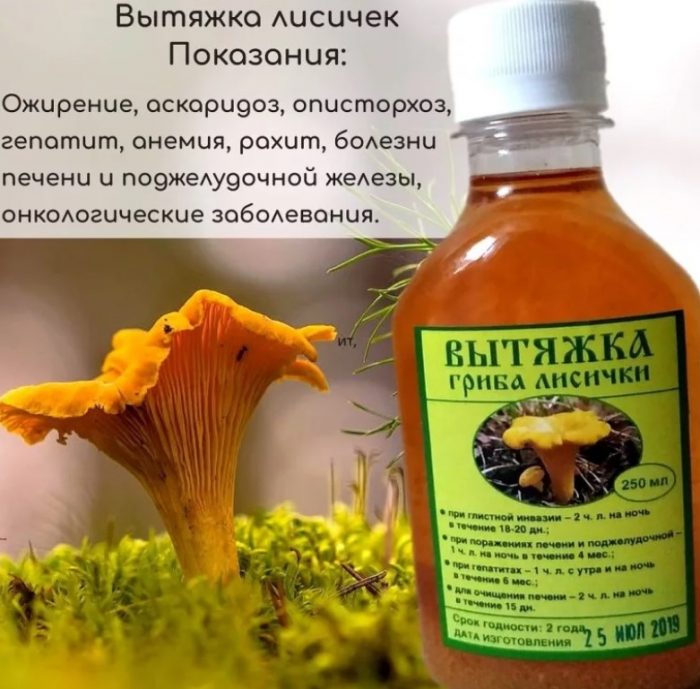Gamot ng Chanterelles