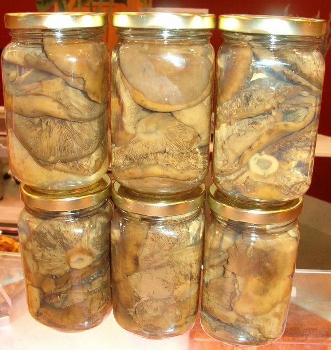 Mga mushroom na may gatas na inasnan