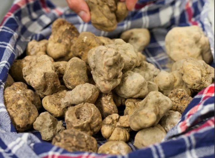 Purong puting truffle