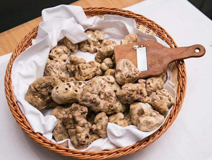 Puting truffle sa isang plato