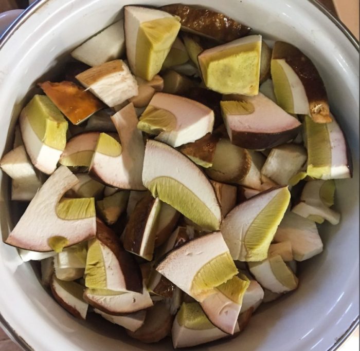 Hiniwang porcini mushrooms