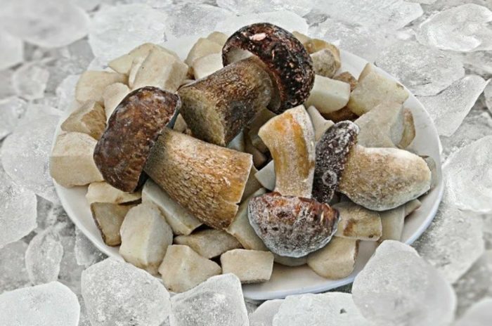 Mga nakapirming porcini mushroom