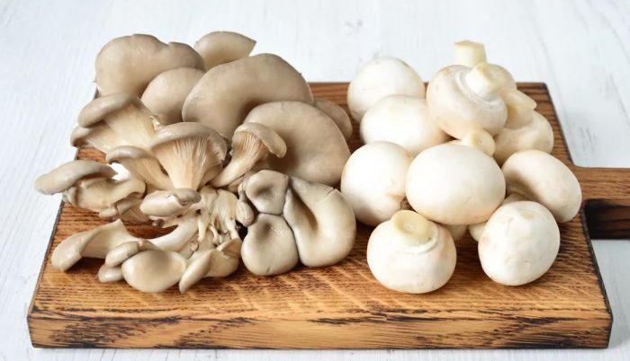 Mga hinugasan na kabute ng talaba at champignon