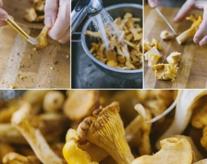Paghahanda ng mga chanterelle