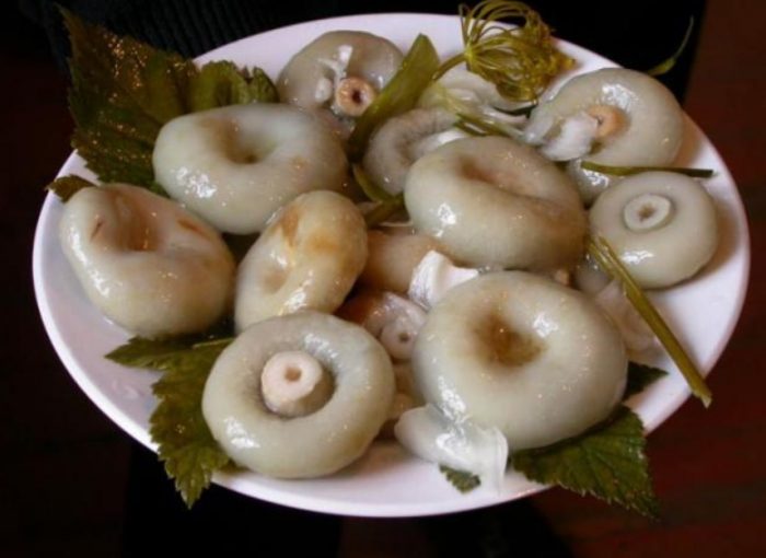Mga adobong kabute ng gatas
