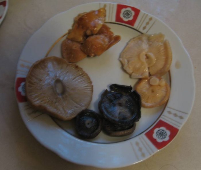 Isang plato ng inasnan na kabute