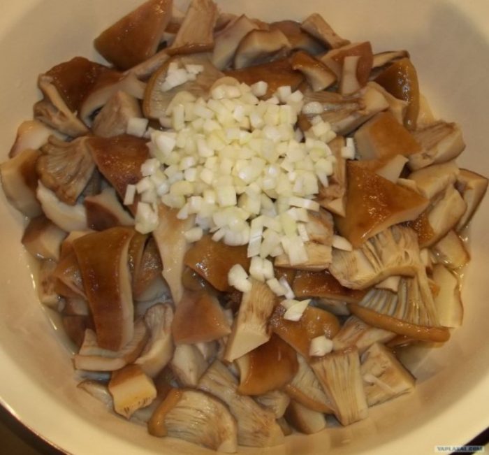 Bawang para sa mga kabute ng gatas