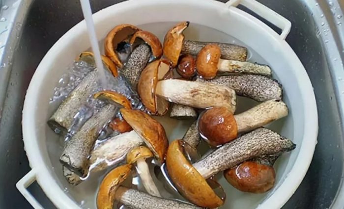Paghuhugas ng mga kabute ng aspen