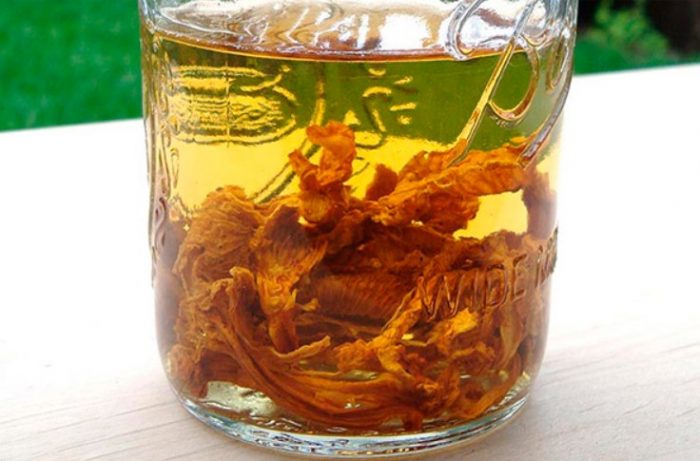 Tintura ng Chanterelle