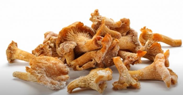 Mga nakapirming chanterelle