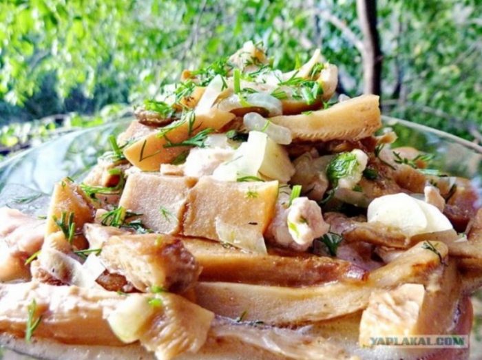 Pinakuluang puting gatas na kabute