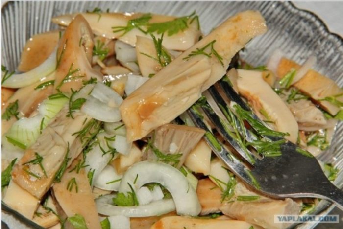 Mga mushroom na may gatas na inasnan