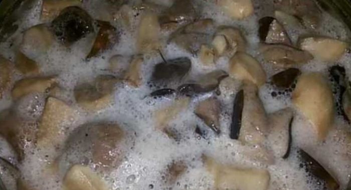 Pagluluto ng mga porcini mushroom