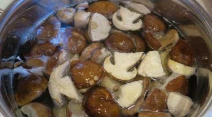 Ang mga benepisyo sa kalusugan ng pinakuluang porcini mushroom