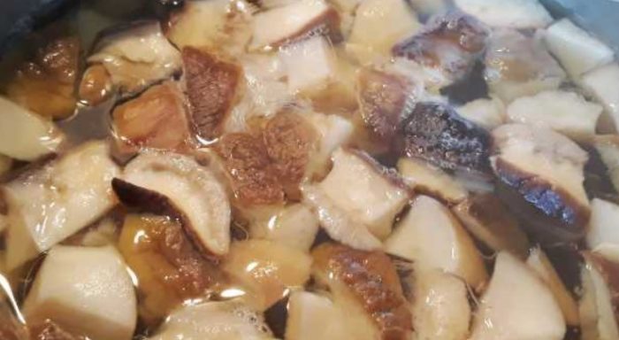 Pagluluto ng mga porcini mushroom