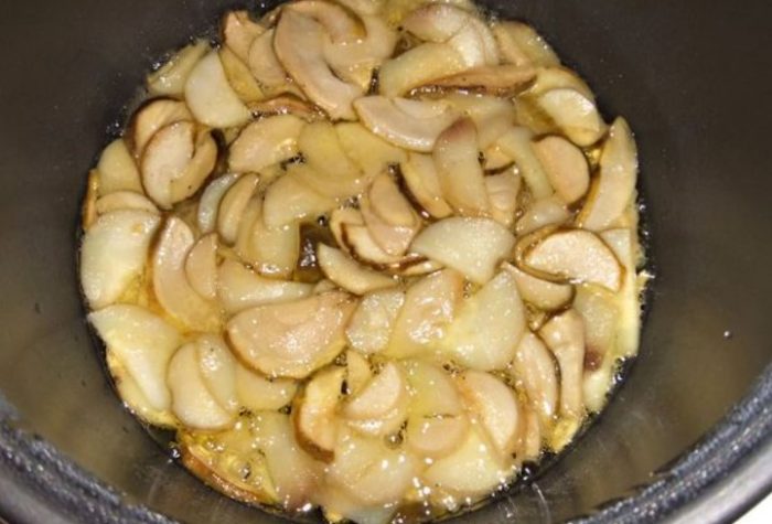 Mga kabute na porcini at multicooker