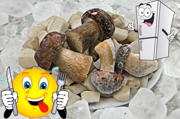 Mga nakapirming porcini mushroom